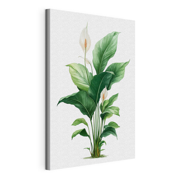 Wandbilder Pflanze mit weißen Blüten und grünen Blättern (Artikelnummer: s49335) Wandbilder Wandbilder Pflanze mit weißen Blüten und grünen Blättern (Artikelnummer: s49335)