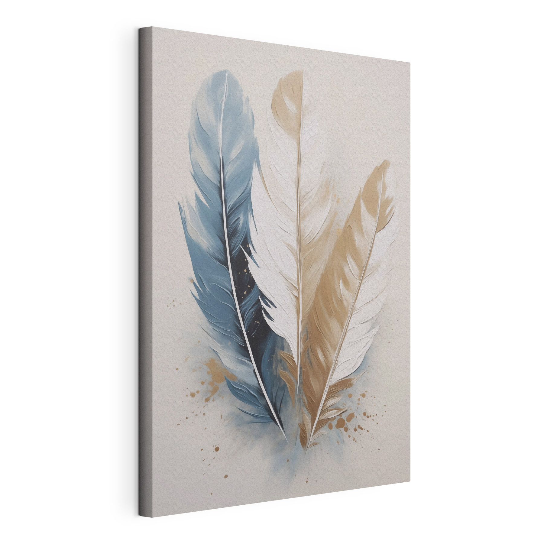 Colorful feathers on a soft background