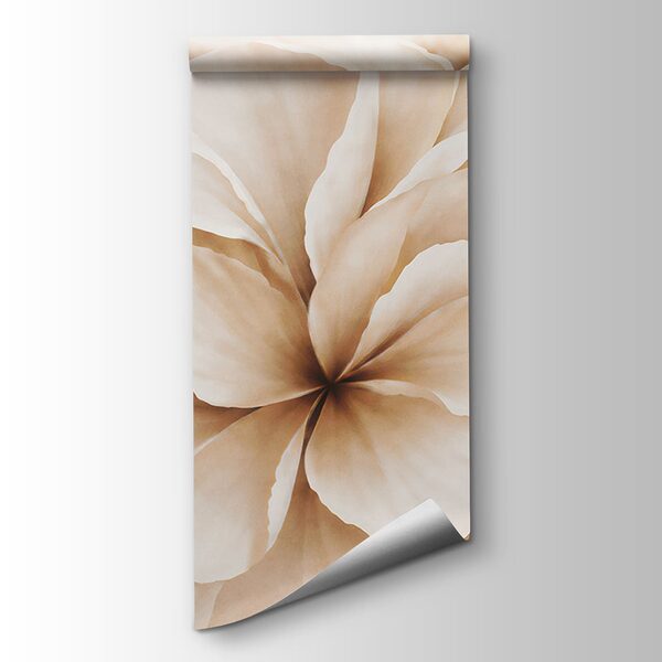 Delicate petals in soft hues
