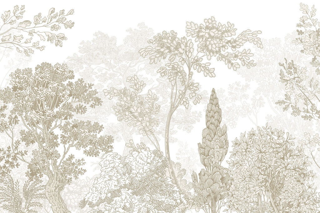 Group of trees with leaves