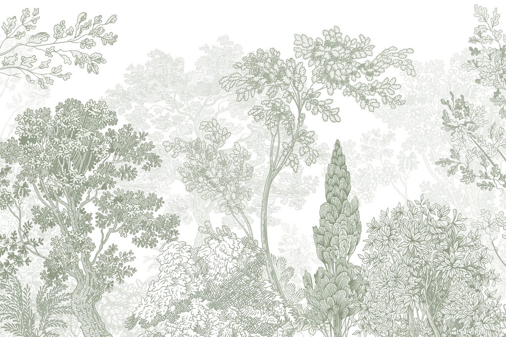 Group of trees and plants
