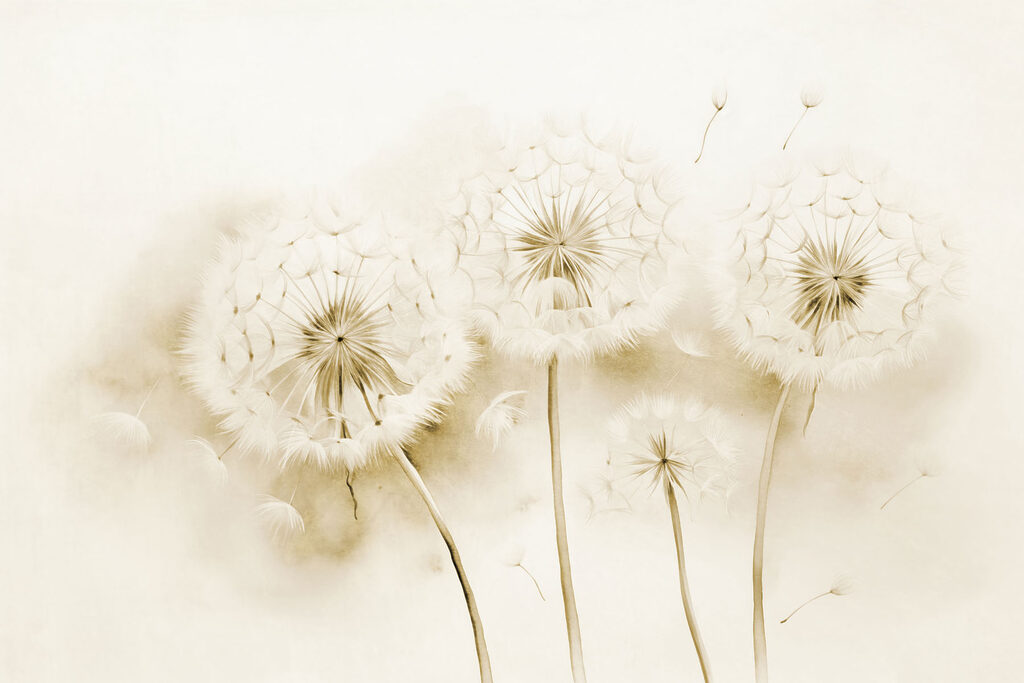 Group of dandelions with seeds flying Group of dandelions with seeds flying