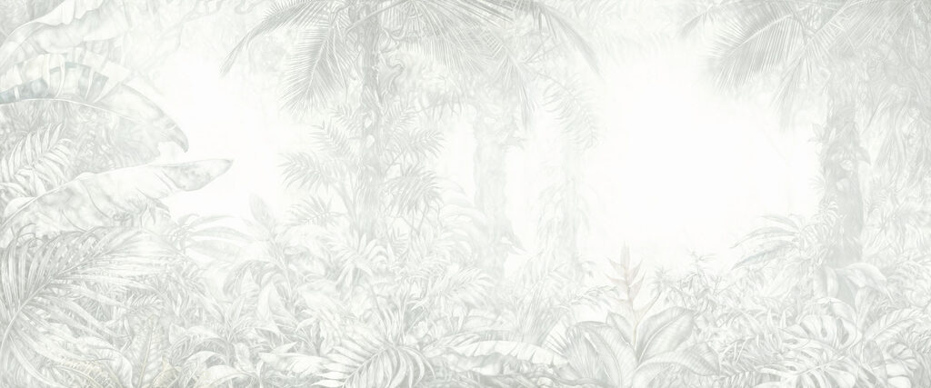 White background with plants White background with plants