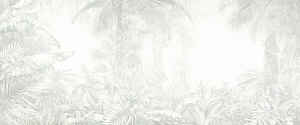 White background with plants White background with plants
