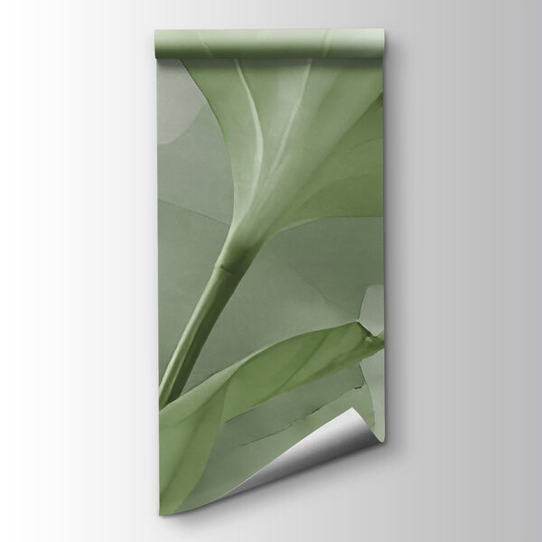Green leaf on a white surface Green leaf on a white surface