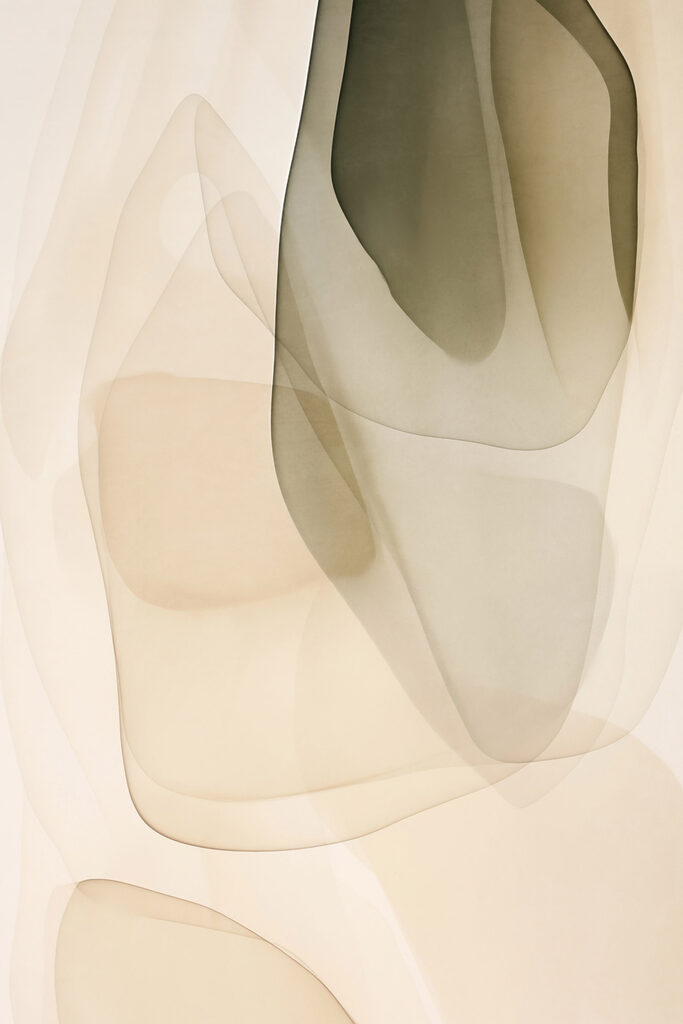 Soft curves in gentle hues