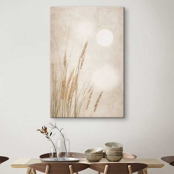 Gentle grasses in soft light Gentle grasses in soft light