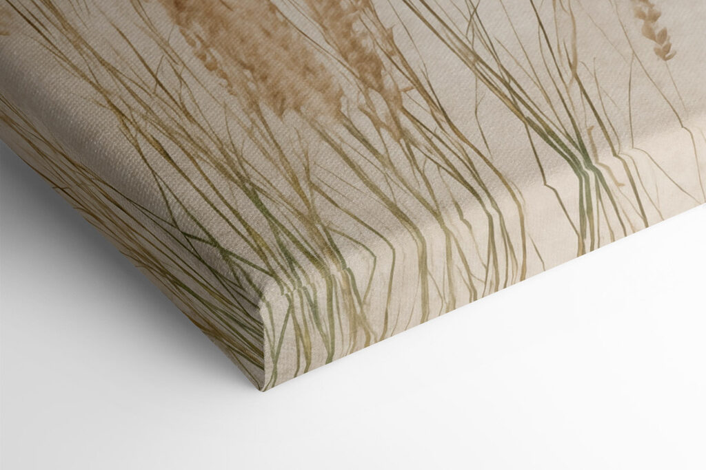 Gentle grasses in soft light Gentle grasses in soft light