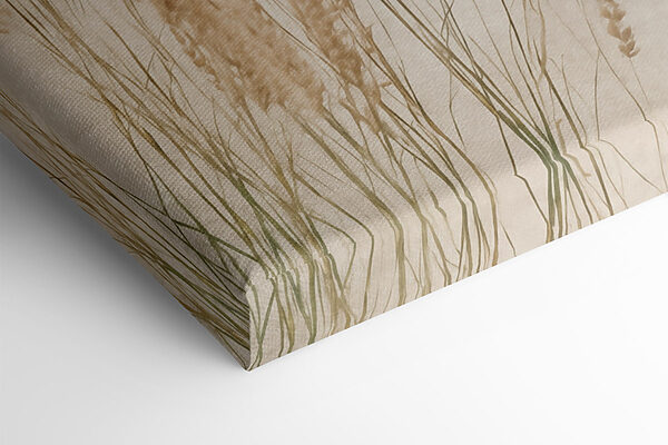 Gentle grasses in soft light Gentle grasses in soft light