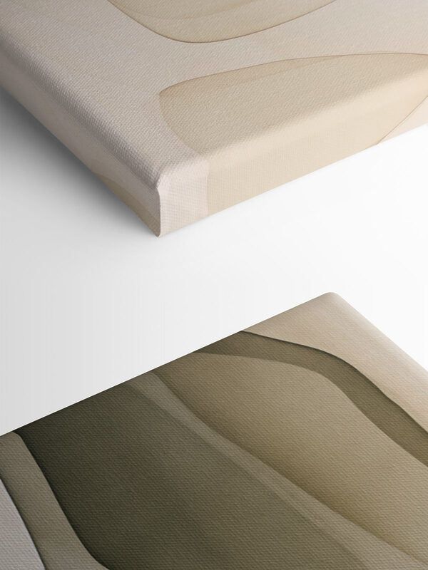 Soft curves in gentle hues