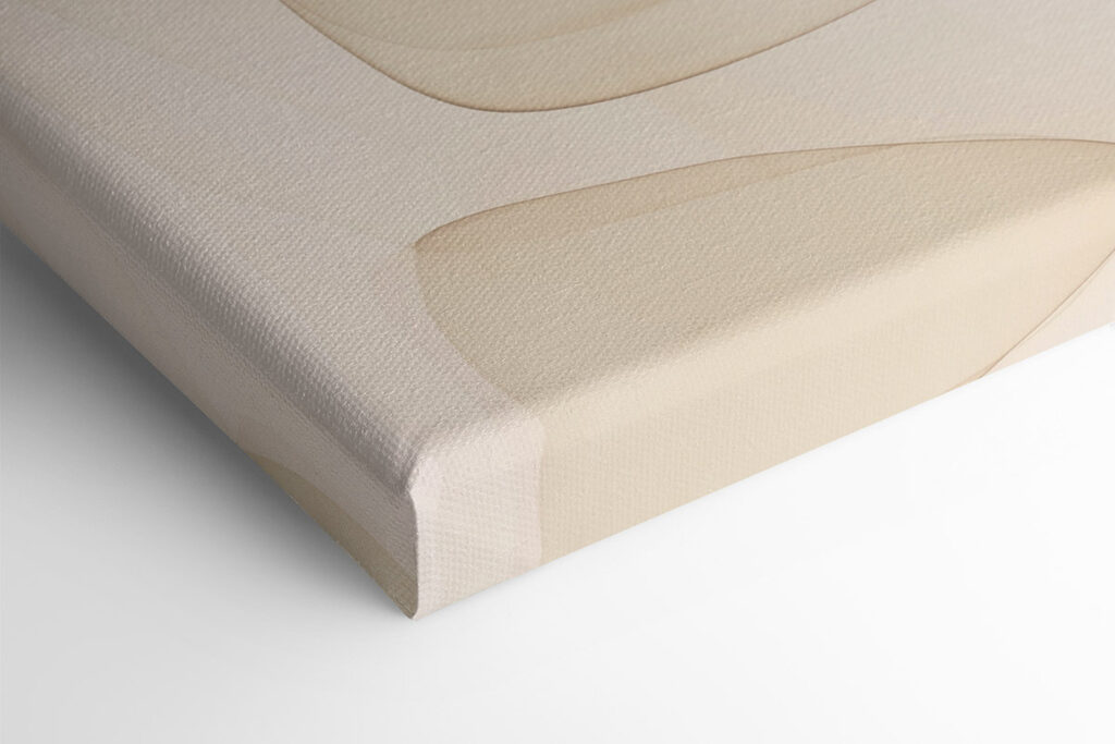Soft curves in gentle hues