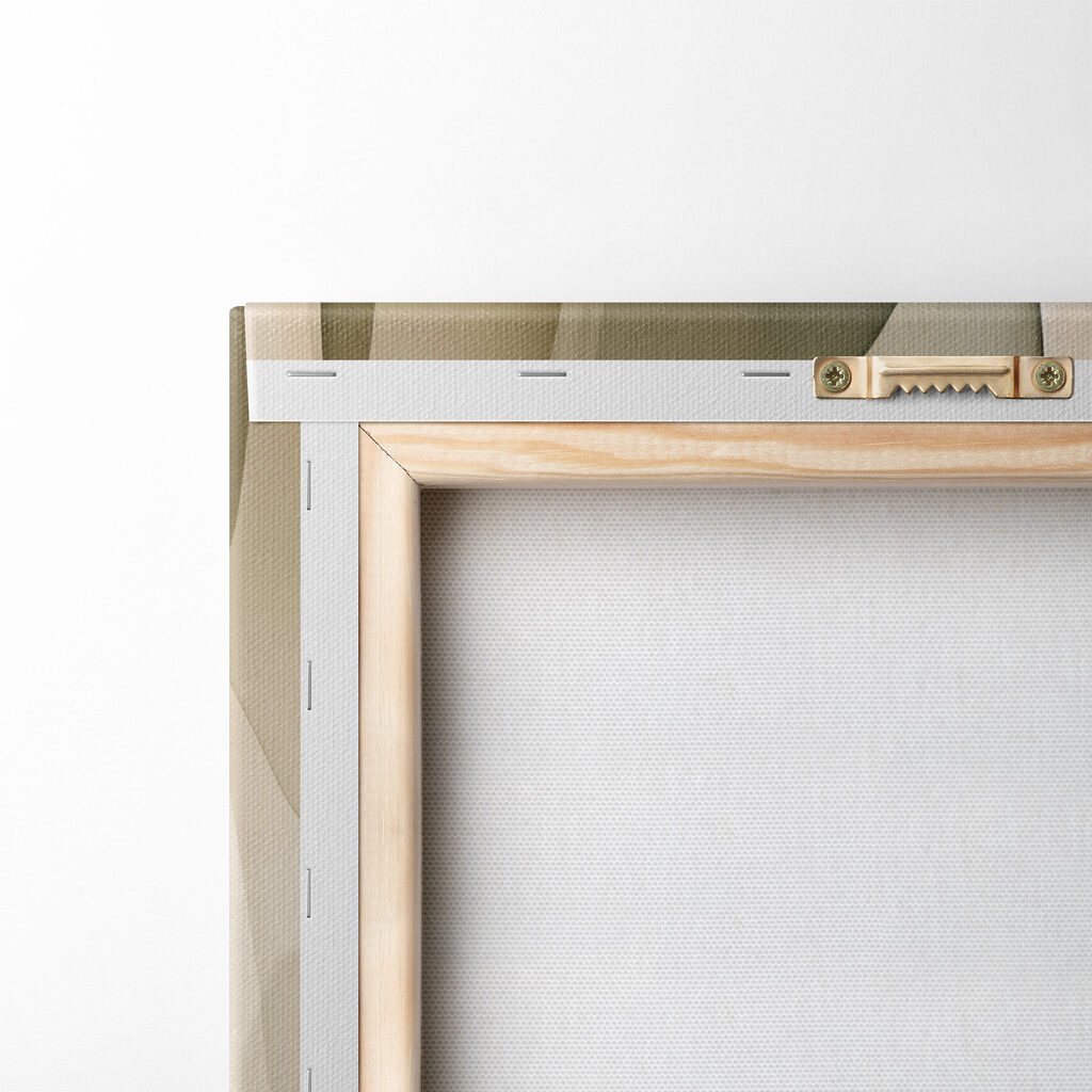 Soft curves in gentle hues