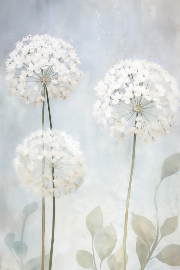 Group of white flowers Group of white flowers