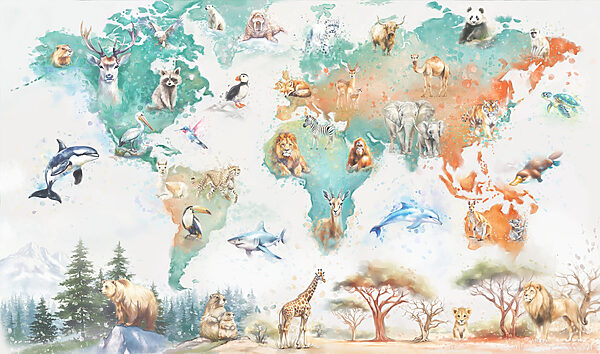 Map of animals and birds Map of animals and birds