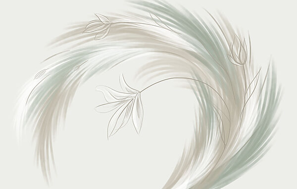 Drawing of a plant Drawing of a plant