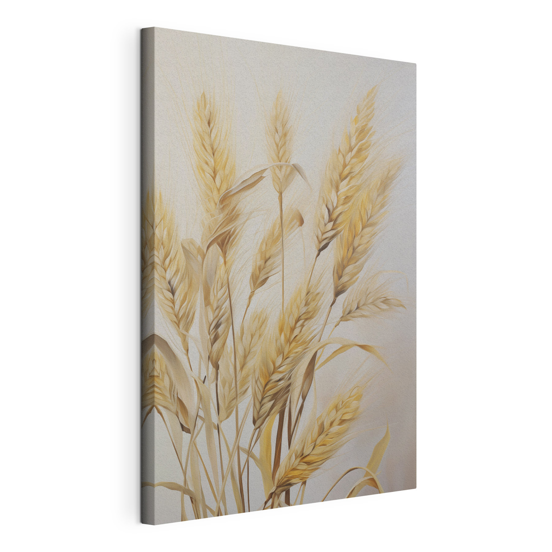 Painting of wheat on a white background