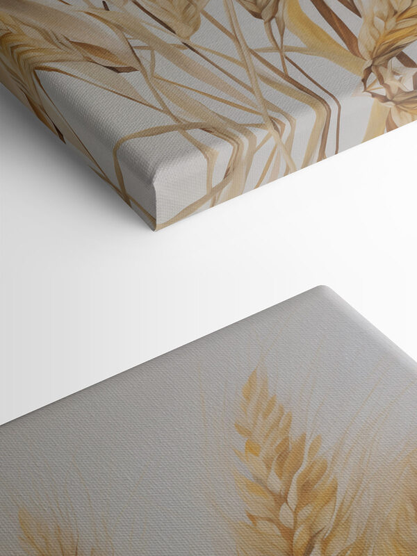 Painting of wheat on a white background