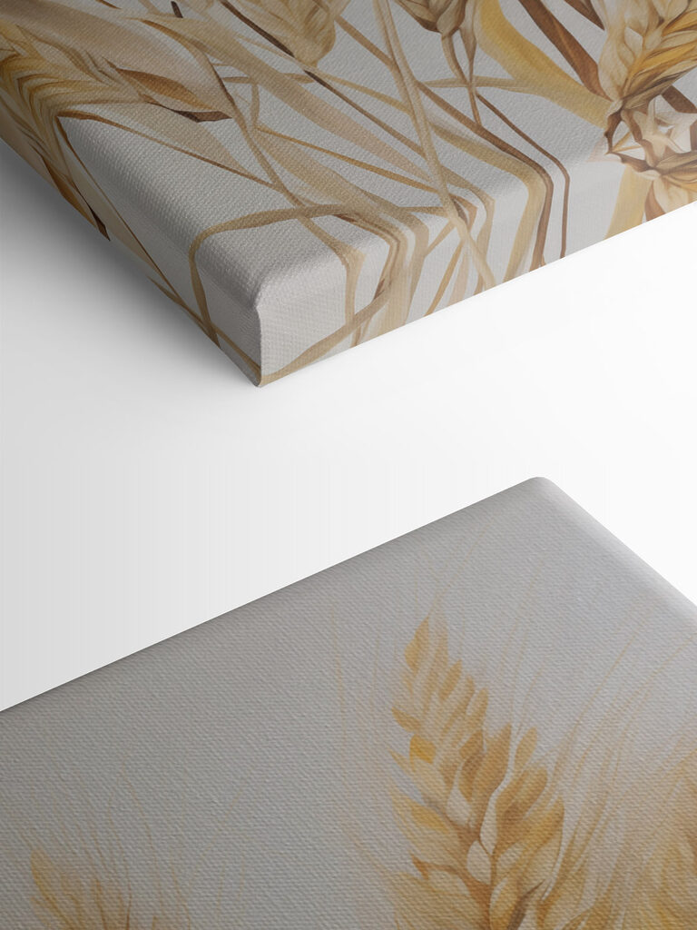 Painting of wheat on a white background