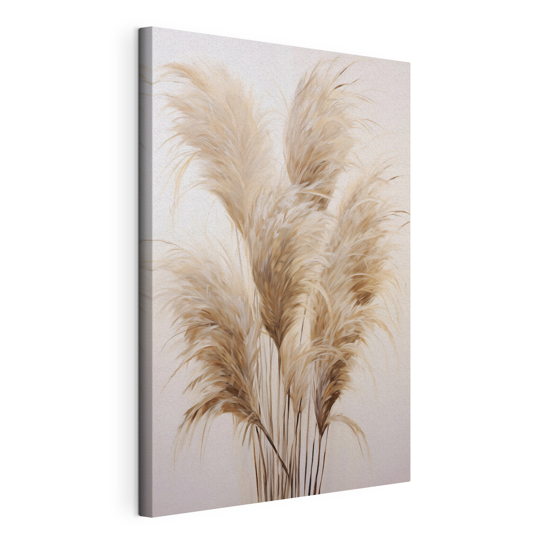 Bunch of brown and white grass