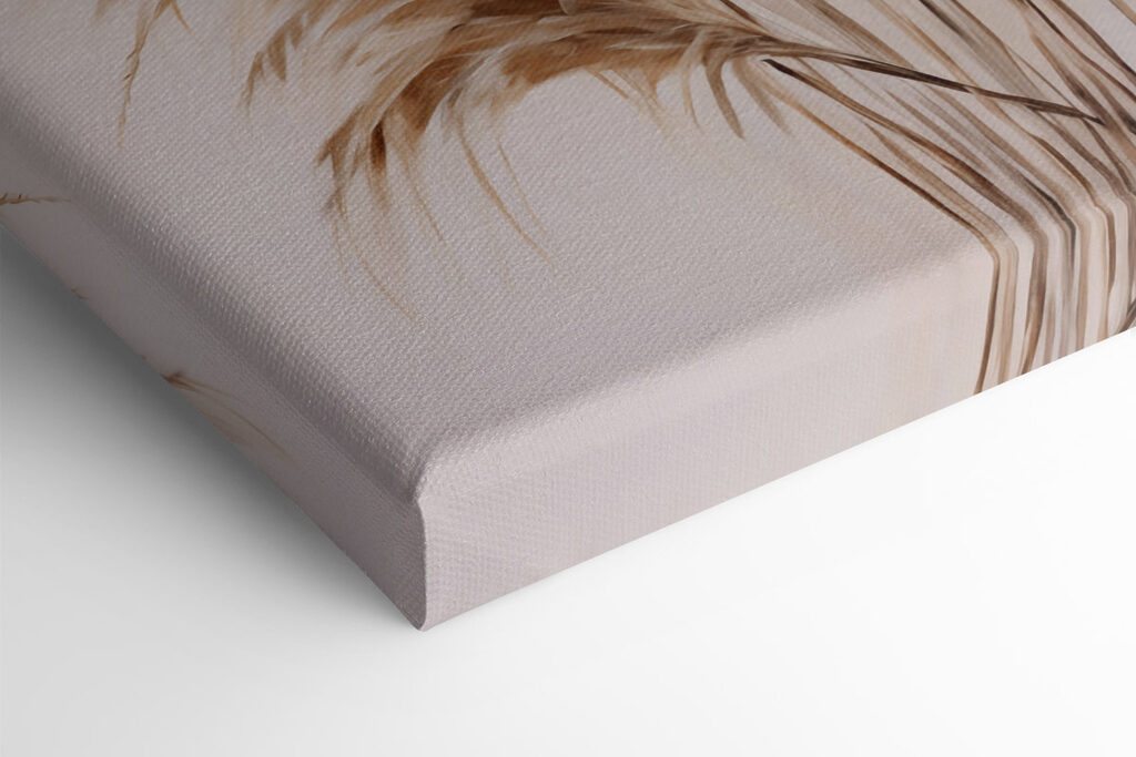 Bunch of brown and white grass