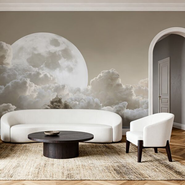 Vollmond am Himmel