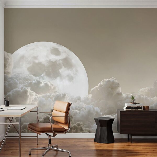Vollmond am Himmel