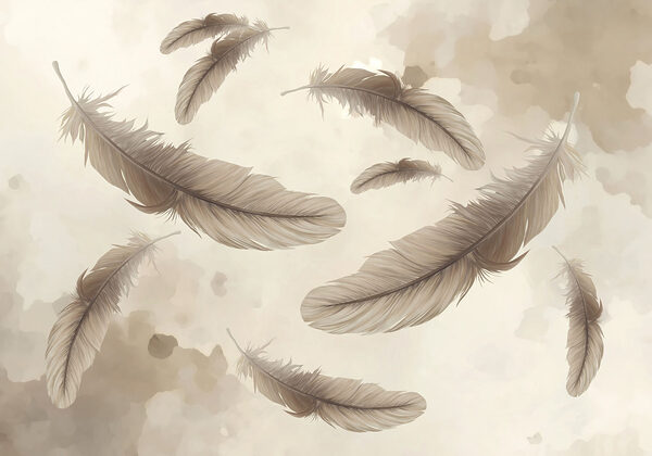 Group of feathers floating in the air