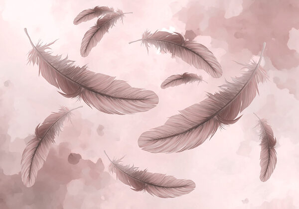 Group of feathers floating in the air