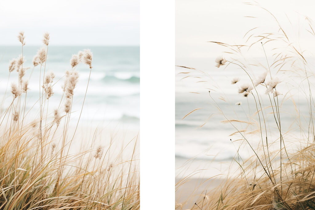 Gentle breeze over coastal grass