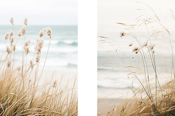 Gentle breeze over coastal grass
