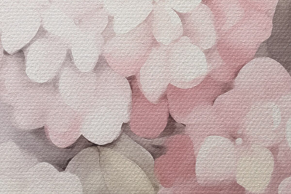 Painting of flowers on a white background Painting of flowers on a white background