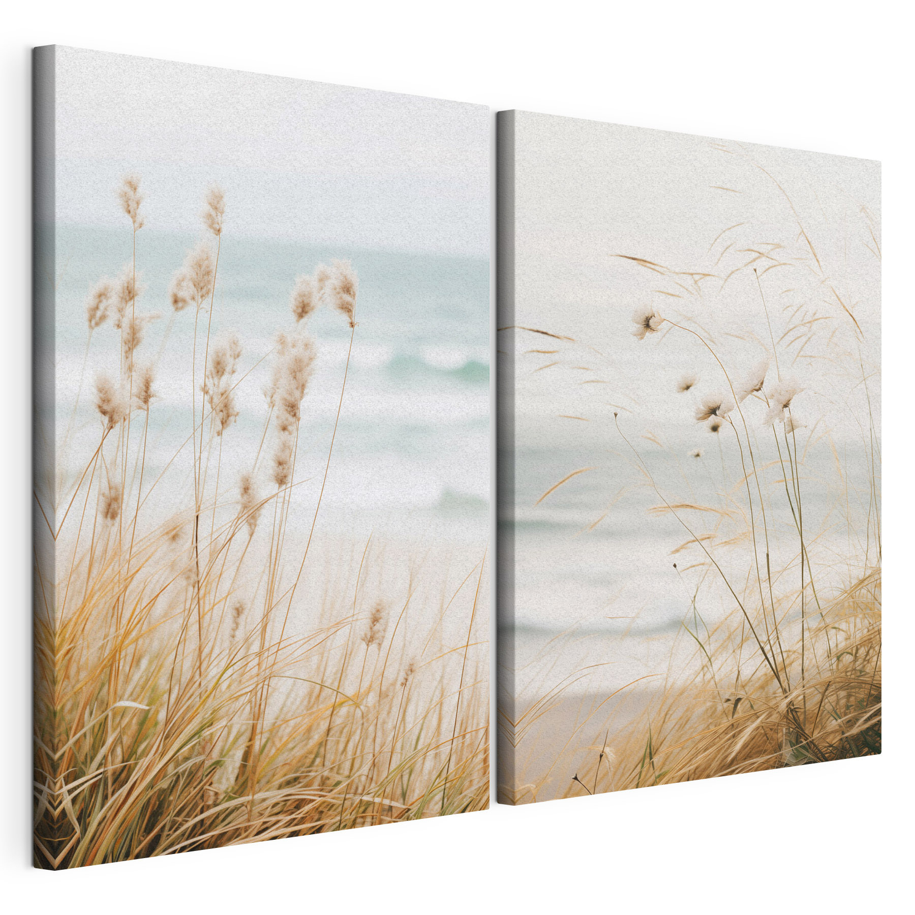Gentle breeze over coastal grass