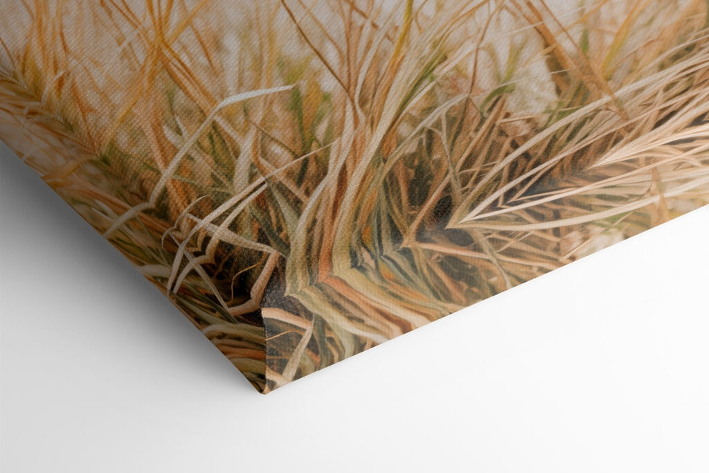 Gentle breeze over coastal grass