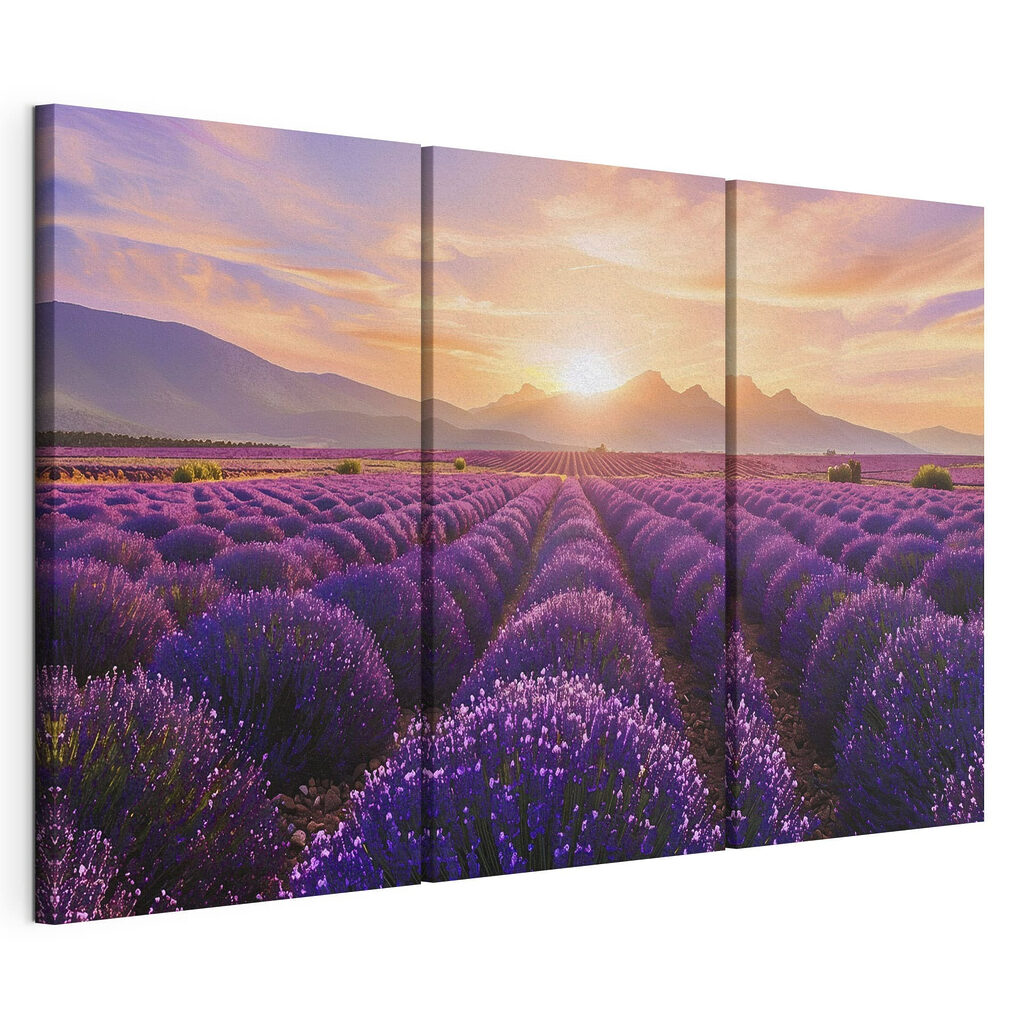 Lavender field with mountains in the background Lavender field with mountains in the background