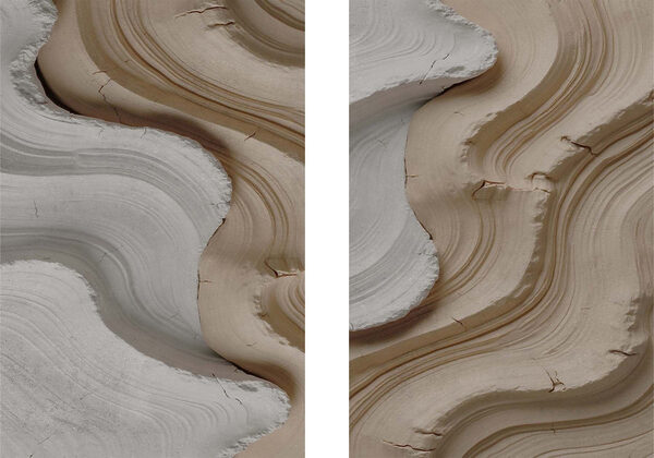 - Flowing curves in earth tones - Flowing curves in earth tones