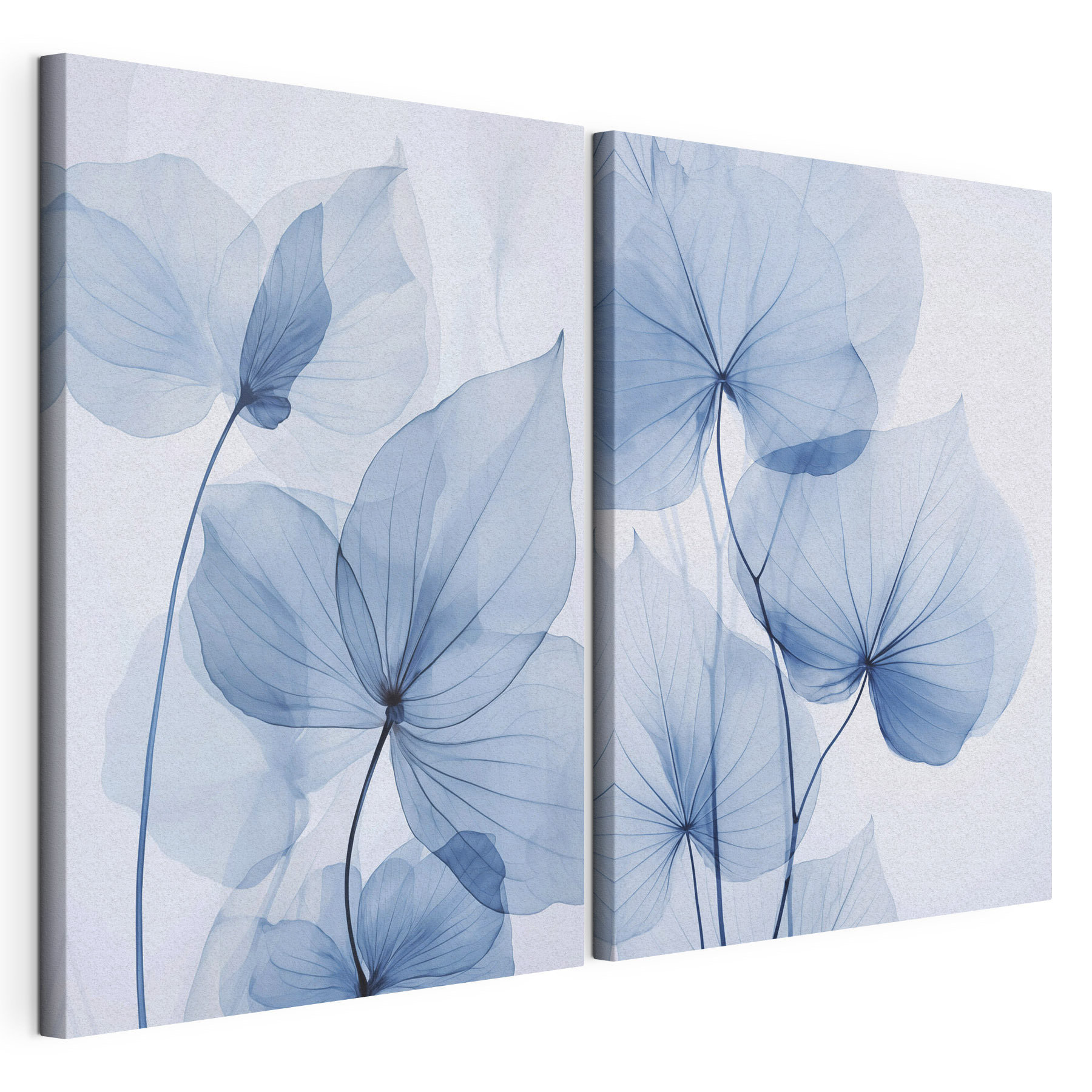 Delicate blue leaves in soft hues Delicate blue leaves in soft hues