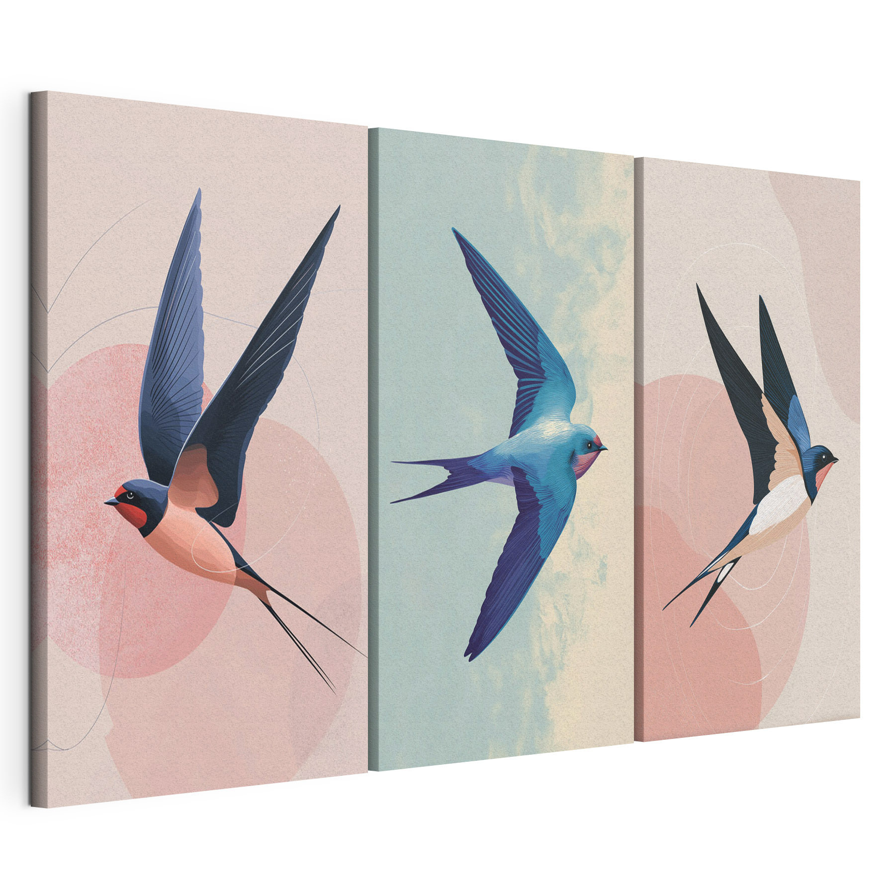 Bird flying in the sky Bird flying in the sky