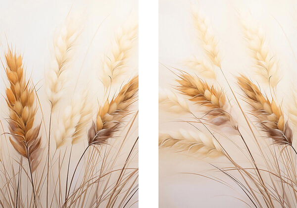 Delicate hues of dried grasses Delicate hues of dried grasses