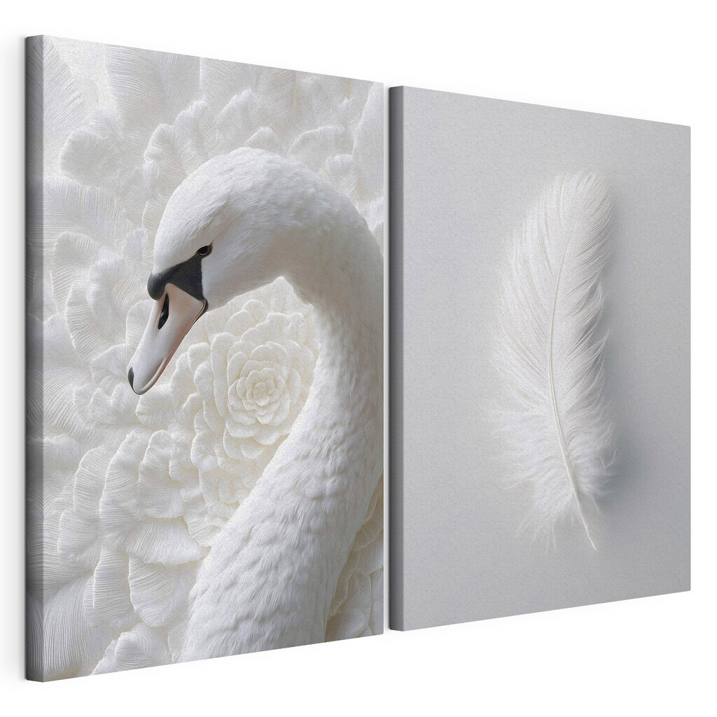 White feather and a swan White feather and a swan