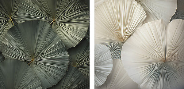 - Intricate fans in soft colors - Intricate fans in soft colors
