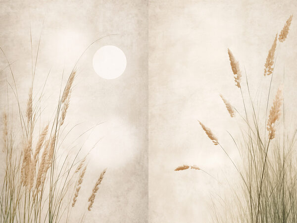 Gentle grasses under a serene sky Gentle grasses under a serene sky
