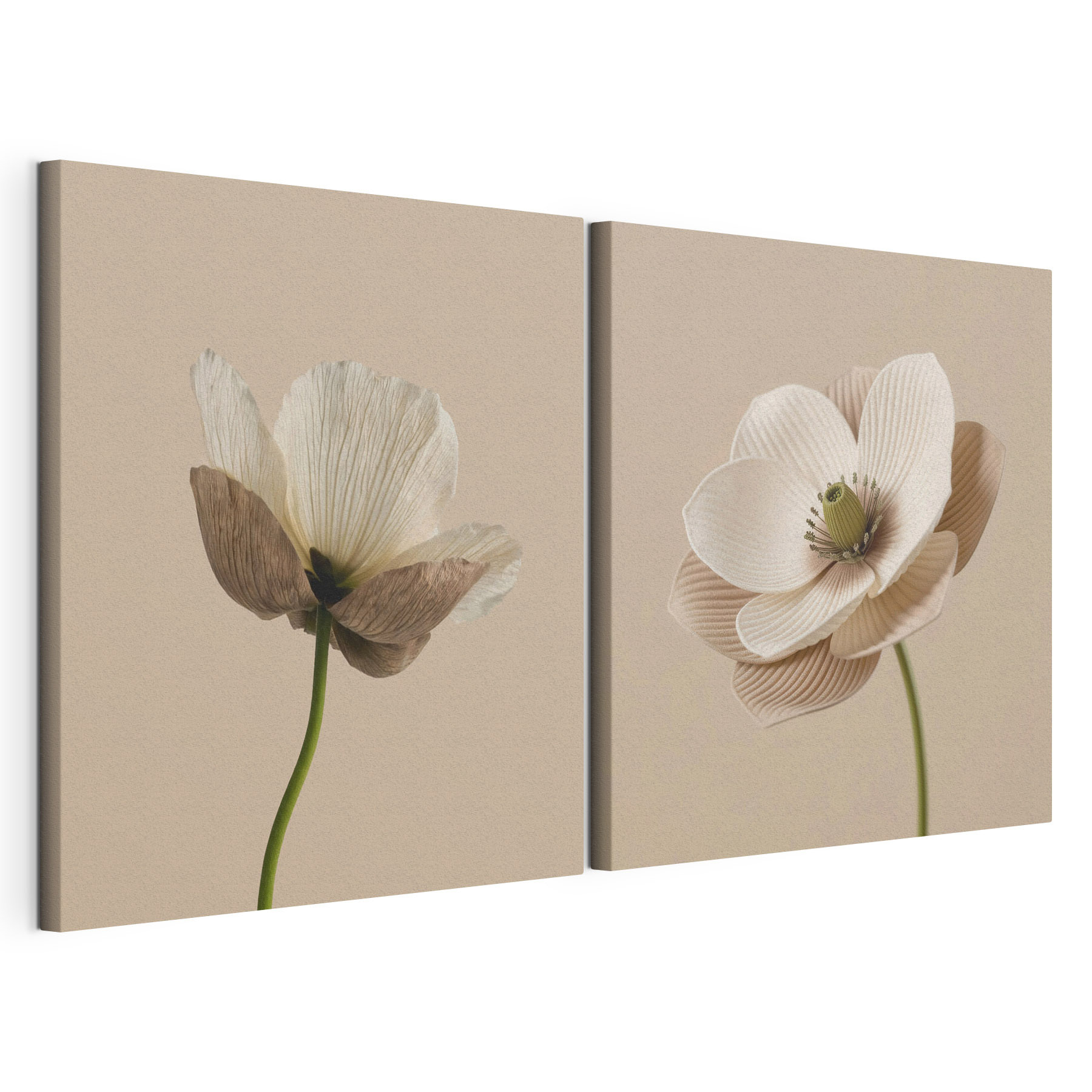 Delicate blooms in soft tones Delicate blooms in soft tones