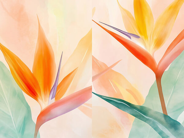 Collage of flowers Collage of flowers