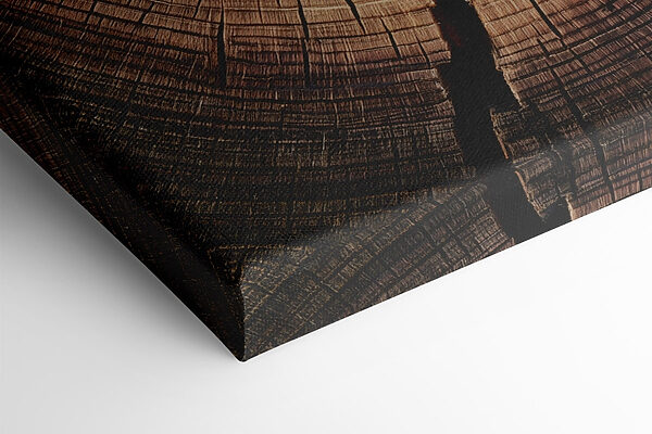 Natural patterns in aged wood Natural patterns in aged wood