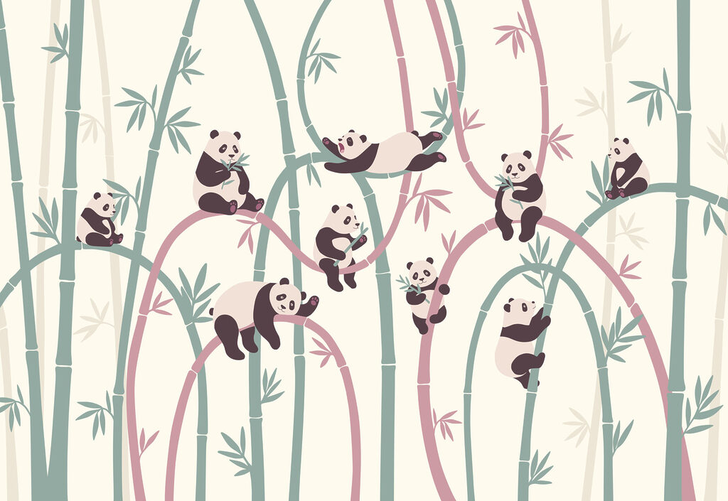 Group of pandas on bamboo branches