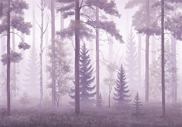 Foggy forest with trees Foggy forest with trees