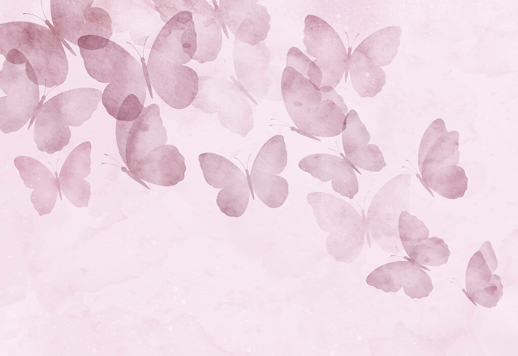 Group of butterflies on a pink background Group of butterflies on a pink background