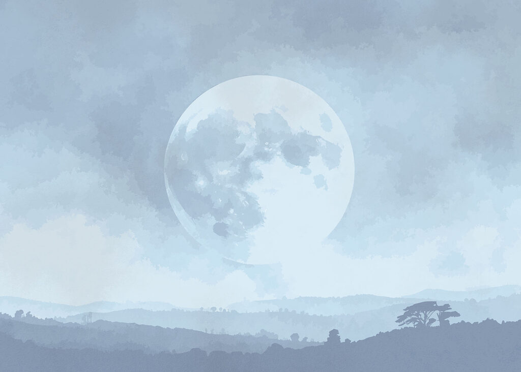 Moon in the sky Moon in the sky
