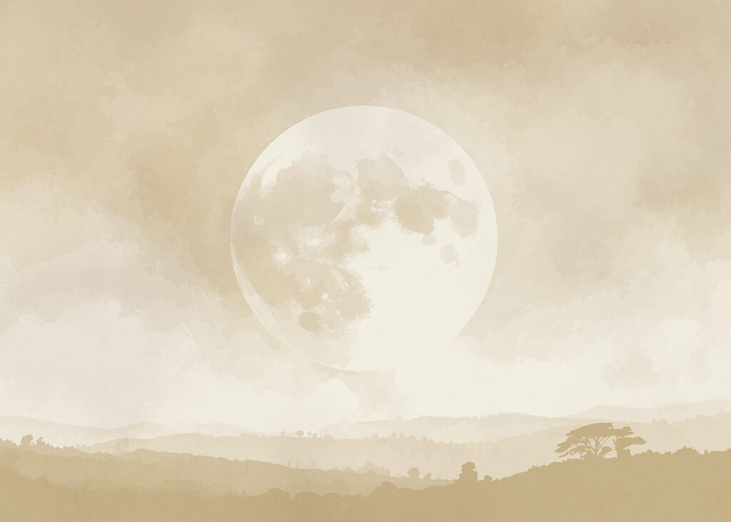 Moon in the sky Moon in the sky
