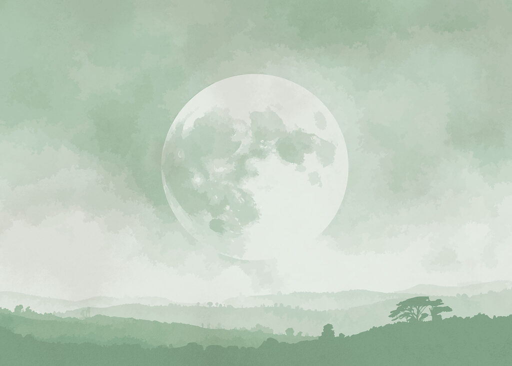 Moon in the sky Moon in the sky